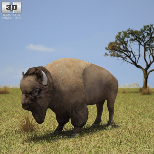 American Bison Low Poly 3d model