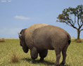 American Bison Low Poly 3D 모델 