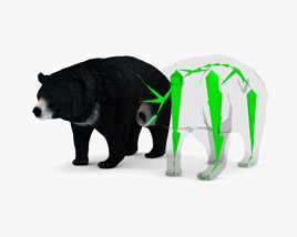 Asian Black Bear Low Poly Rigged 3D model