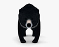 Asian Black Bear Low Poly Rigged 3D模型