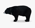 Asian Black Bear Low Poly Rigged 3d model