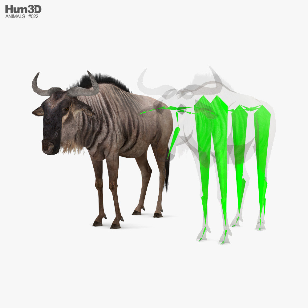 Wildebeest Low Poly Rigged Modèle 3D