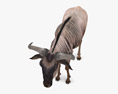 Wildebeest Low Poly Rigged 3D модель
