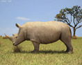White Rhinoceros Low Poly 3d model