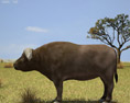 African Buffalo Low Poly 3d model