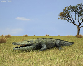 Common Crocodile Low Poly Modèle 3D