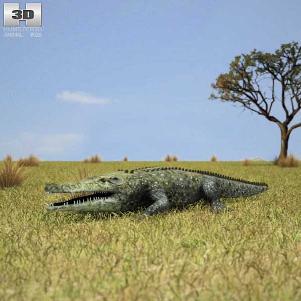 Common Crocodile Low Poly 3d model