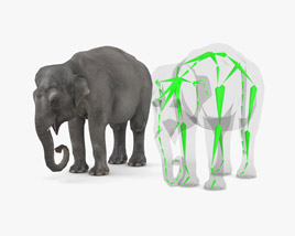 Asian Elephant Low Poly Rigged 3D model