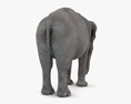 Asian Elephant Low Poly Rigged 3D-Modell