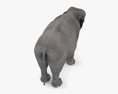 Asian Elephant Low Poly Rigged Modello 3D