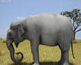 Asian Elephant Low Poly Modello 3D