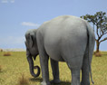 Asian Elephant Low Poly 3D модель