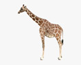 Giraffe Low Poly Rigged 3D-Modell