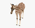 Giraffe Low Poly Rigged Modelo 3D