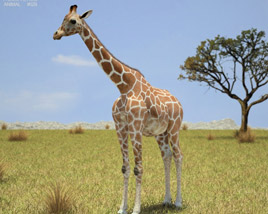 Giraffe Low Poly 3D model