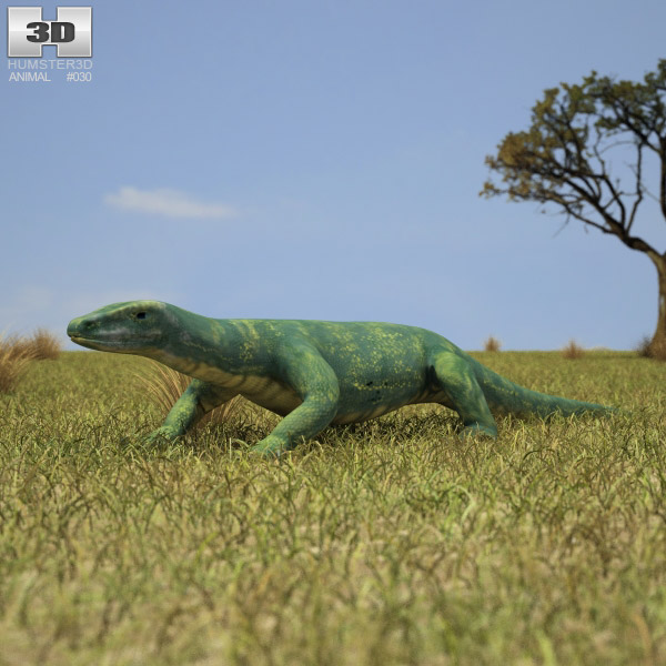 Perentie Low Poly 3D-Modell