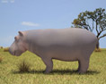 Hippopotamus Low Poly 3D模型