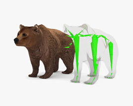 Brown Bear Low Poly Rigged Modèle 3D