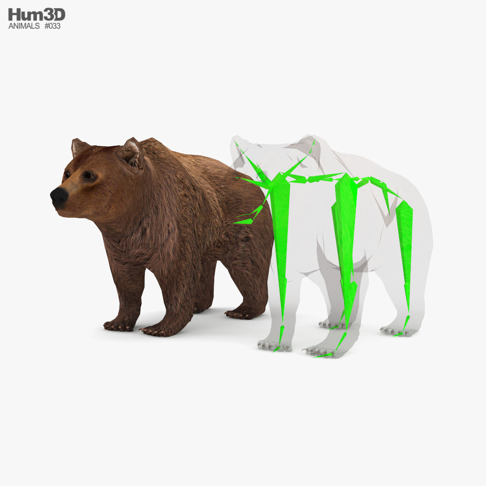 Brown Bear Low Poly Rigged 3D model