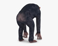 Chimpanzee Low Poly Rigged 3D模型