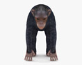 Chimpanzee Low Poly Rigged Modelo 3d