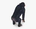 Chimpanzee Low Poly Rigged Modello 3D