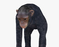 Chimpanzee Low Poly Rigged Modèle 3d