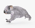 Koala Low Poly Rigged Animated 3D-Modell