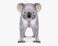 Koala Low Poly Rigged Animated 3Dモデル