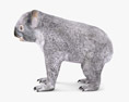 Koala Low Poly Rigged Animated Modelo 3d