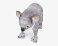 Koala Low Poly Rigged Animated 3D модель