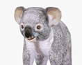 Koala Low Poly Rigged Animated Modelo 3D