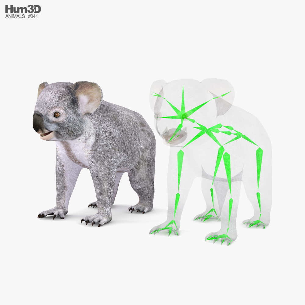Koala Low Poly Rigged 3d model