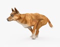 Dingo Low Poly Rigged Animated 3D模型