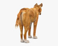 Dingo Low Poly Rigged Animated Modèle 3d
