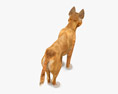 Dingo Low Poly Rigged Animated Modelo 3D