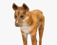 Dingo Low Poly Rigged Animated 3D-Modell