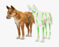 Dingo Low Poly Rigged 3D модель