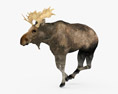 Moose Low Poly Rigged Animated Modelo 3D