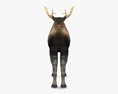 Moose Low Poly Rigged Animated 3D 모델 