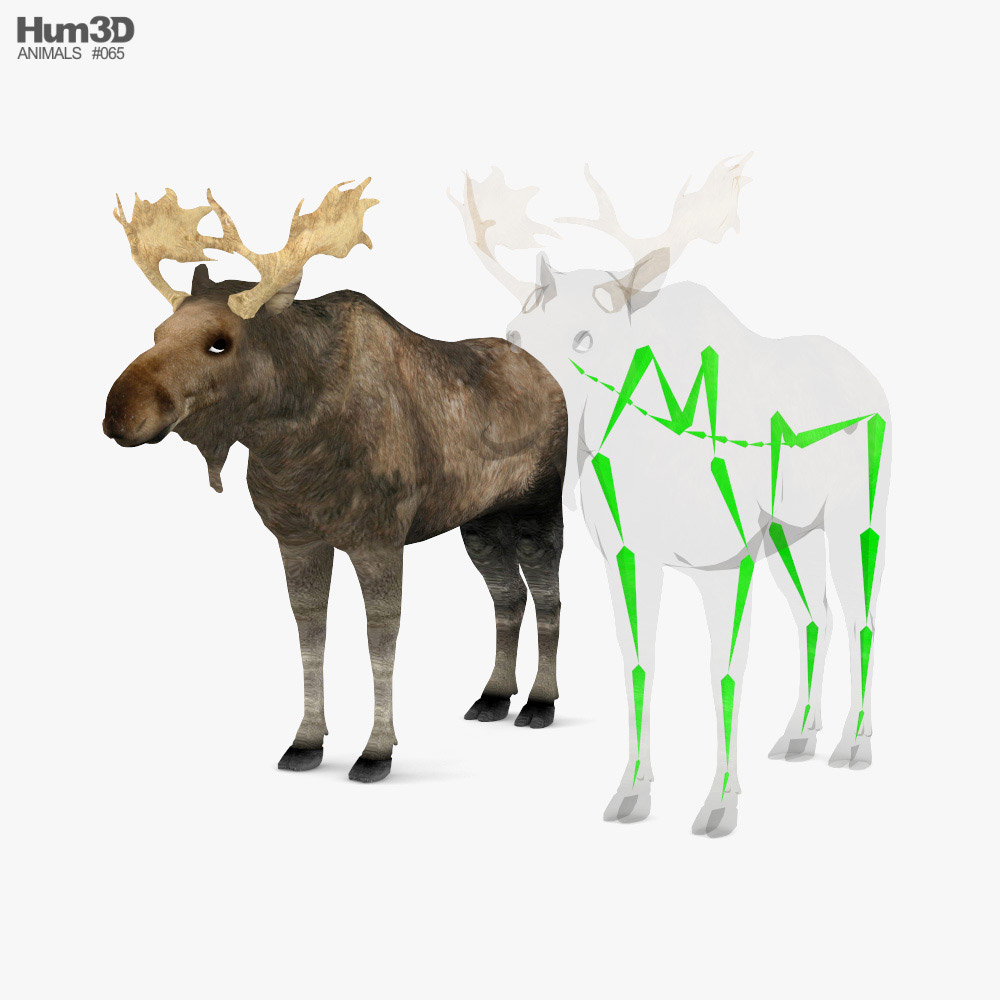 Moose Low Poly Rigged Modèle 3D