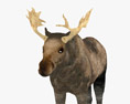 Moose Low Poly Rigged Modello 3D