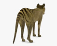 Thylacine Low Poly Rigged Animated 3D модель