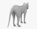 Thylacine Low Poly Rigged Animated Modello 3D