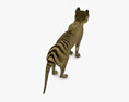 Thylacine Low Poly Rigged Animated Modèle 3d
