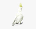 Cockatoo Low Poly Rigged 3D-Modell