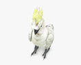 Cockatoo Low Poly Rigged 3D 모델 