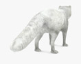 Arctic fox Low Poly Rigged Modello 3D