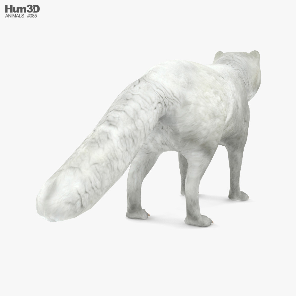 3D model Fox animal VR / AR / low-poly