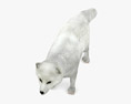 Arctic fox Low Poly Rigged 3d model
